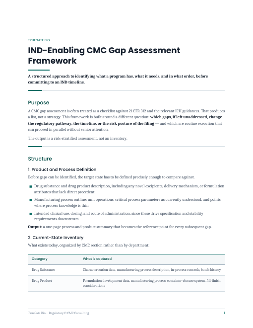 IND-Enabling CMC Gap Assessment
